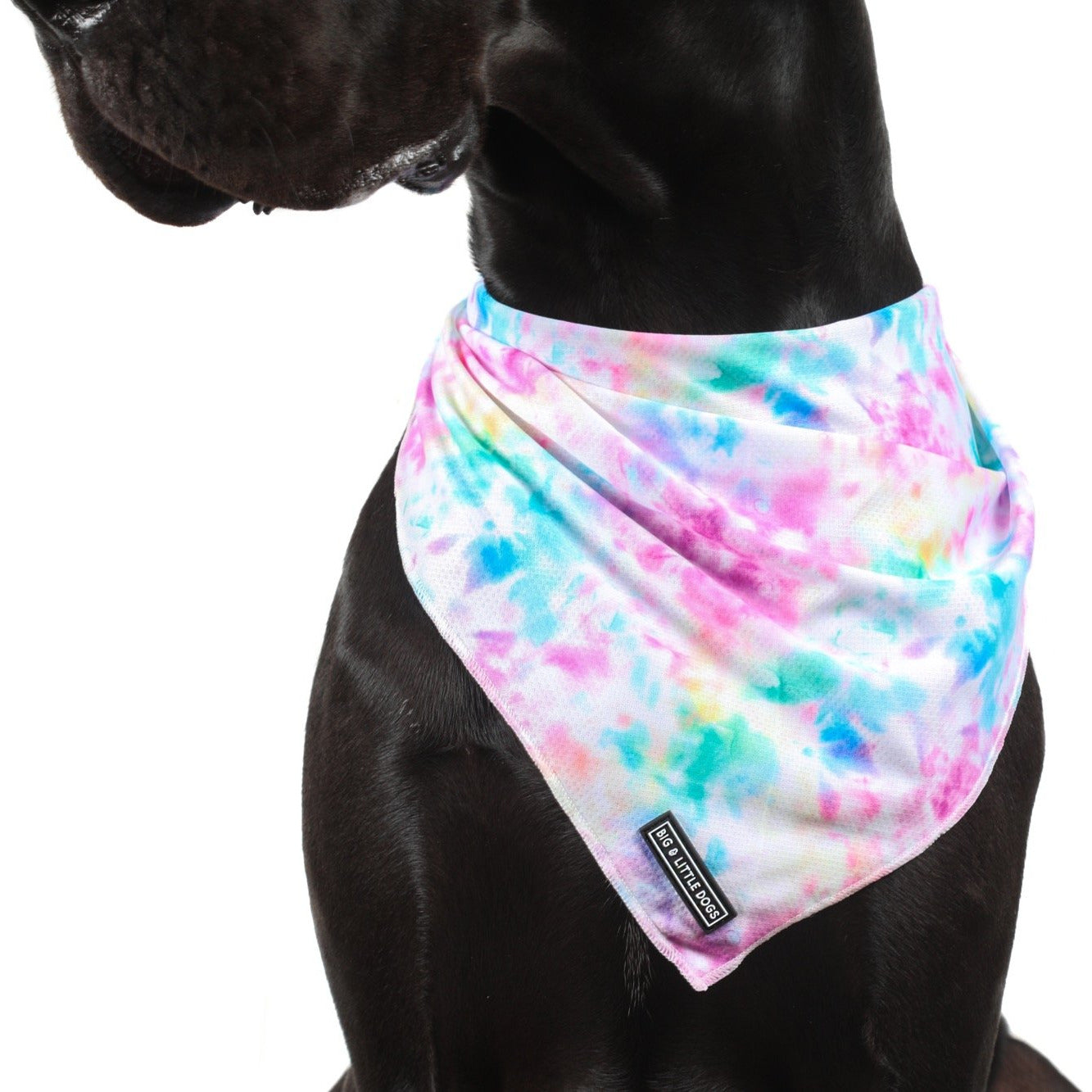 Dog Cooling Bandana Cotton Candy Pastel Tie Dye