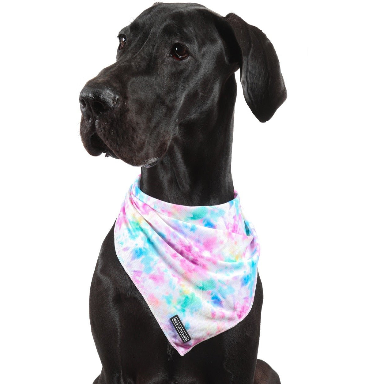 Dog Cooling Bandana Cotton Candy Pastel Tie Dye