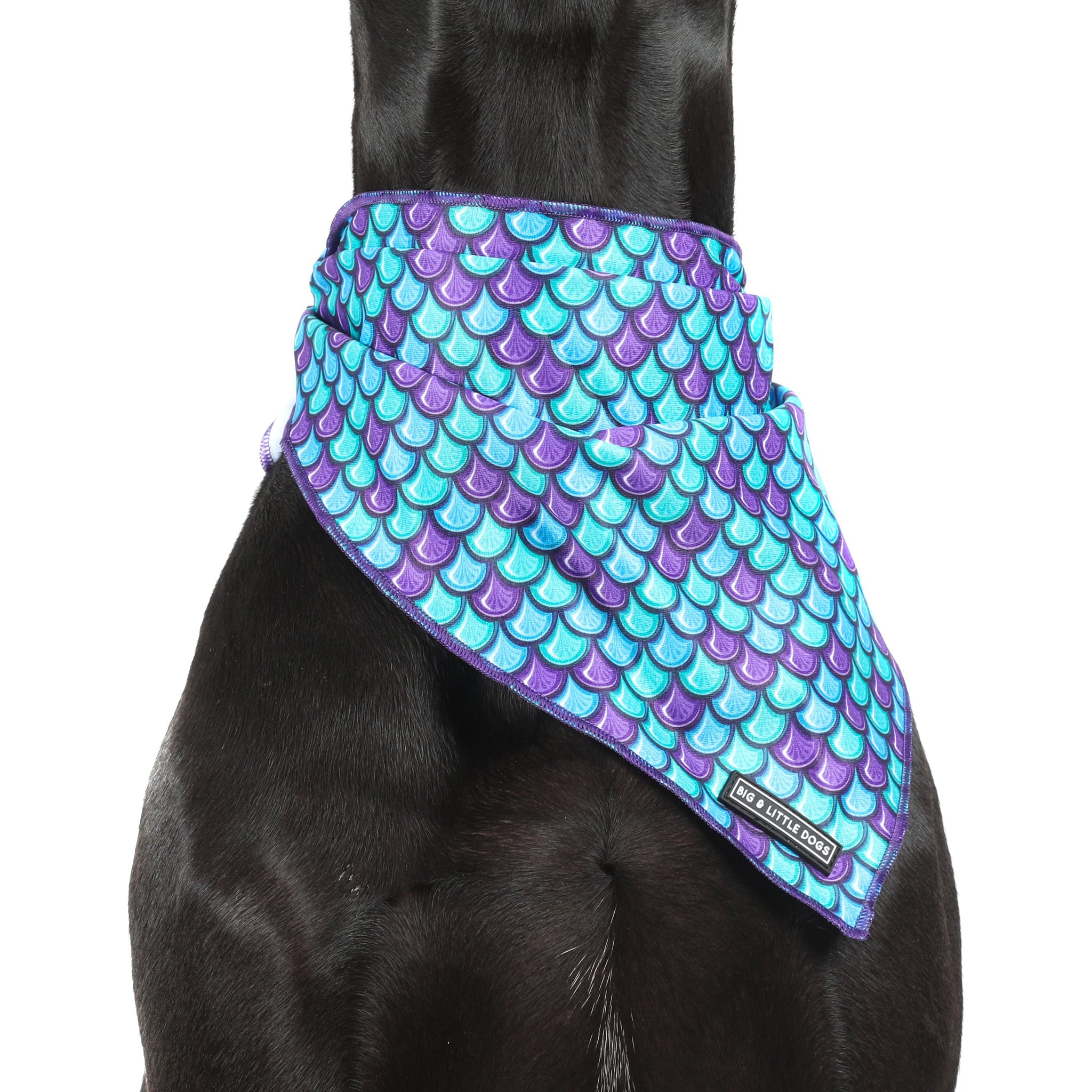 Dog Cooling Bandana Scaled Back Scale Pattern