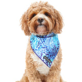 Dog Cooling Bandana Snakeskin