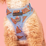 ADJUSTABLE DOG HARNESS: Blue Fairy Bread