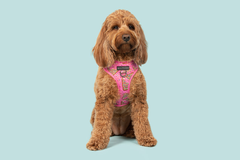 ADJUSTABLE DOG HARNESS: Pink Fairy Bread