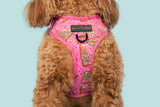 ADJUSTABLE DOG HARNESS: Pink Fairy Bread