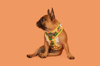 Adjustable Dog Harness Paw Paw Pawsome