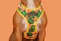 Adjustable Dog Harness Paw Paw Pawsome