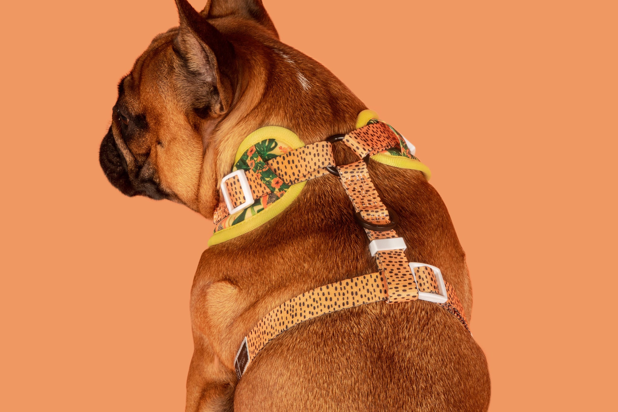 Adjustable Dog Harness Paw Paw Pawsome