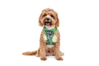 Adjustable Dog Harness Traffic Town