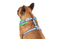 Adjustable Dog Harness Traffic Town