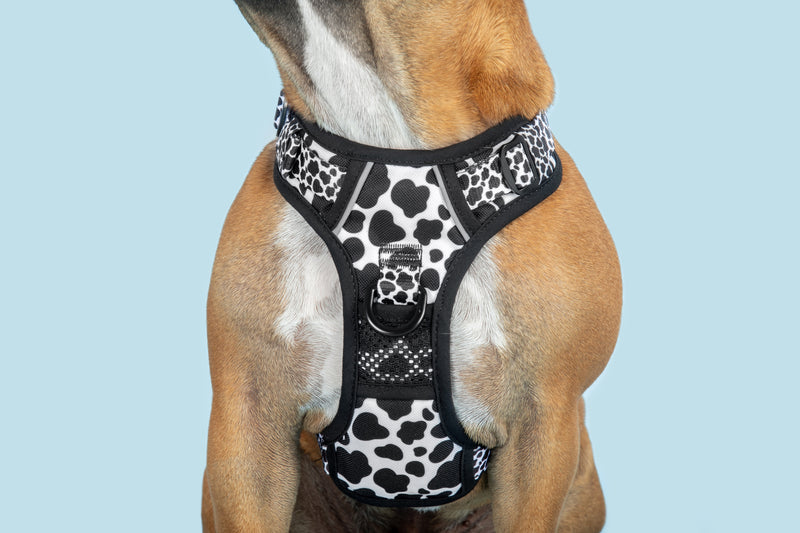 All Rounder Dog Harness I Udderly Adore You Cow Print