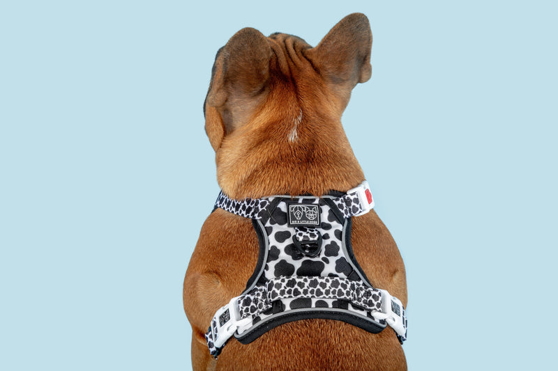 All Rounder Dog Harness I Udderly Adore You Cow Print