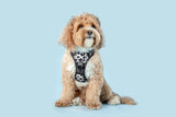 All Rounder Dog Harness I Udderly Adore You Cow Print