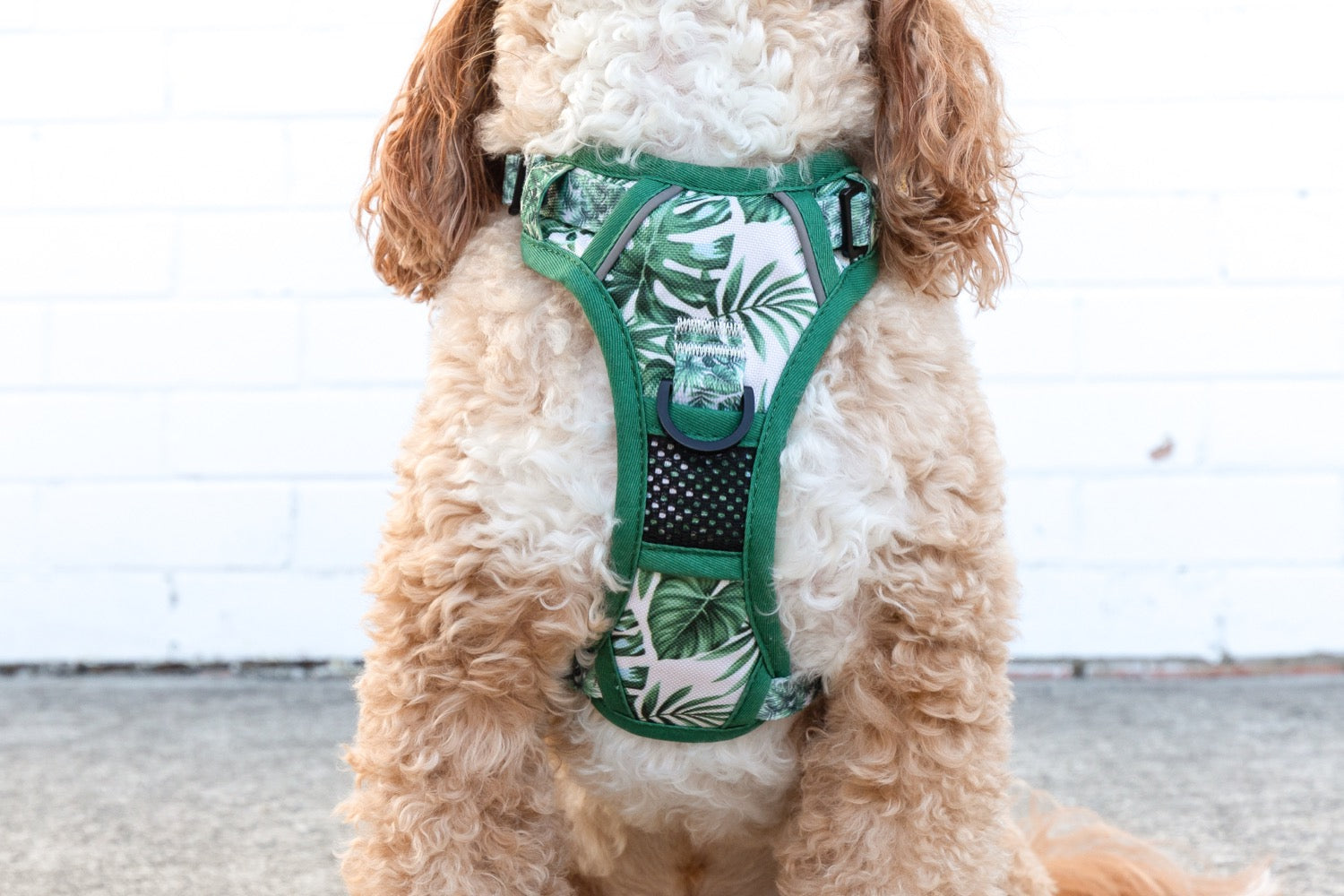 All-Rounder Dog Harness Lost In Paradise Palms