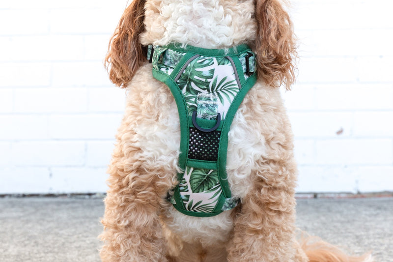 All-Rounder Dog Harness Lost In Paradise Palms
