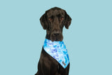 Dog Cooling Bandana Blue Me Away