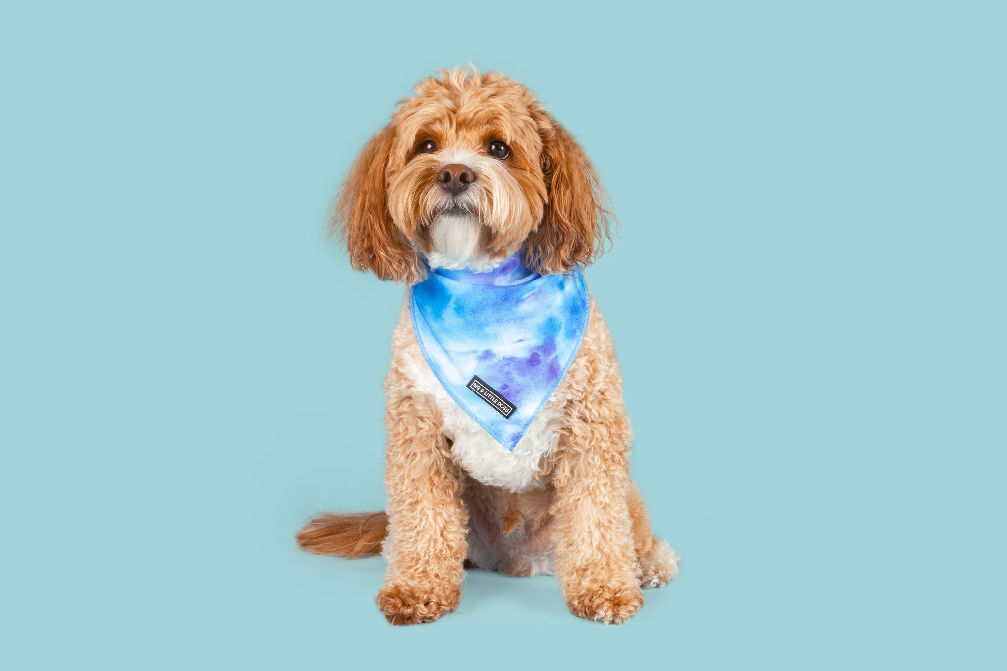 Dog Cooling Bandana Blue Me Away