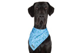 Dog Cooling Bandana Skull and Bones Blue Version