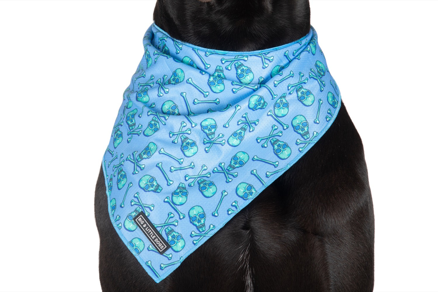 Dog Cooling Bandana Skull and Bones Blue Version