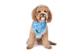 Dog Cooling Bandana Skull and Bones Blue Version