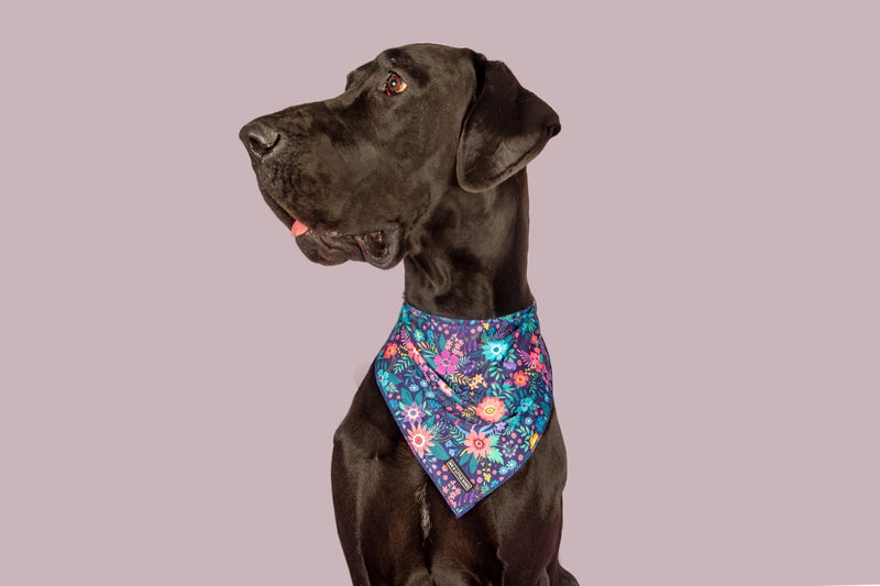 Dog Cooling Bandana Stop and Smell the Flowers