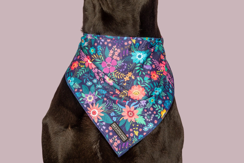 Dog Cooling Bandana Stop and Smell the Flowers