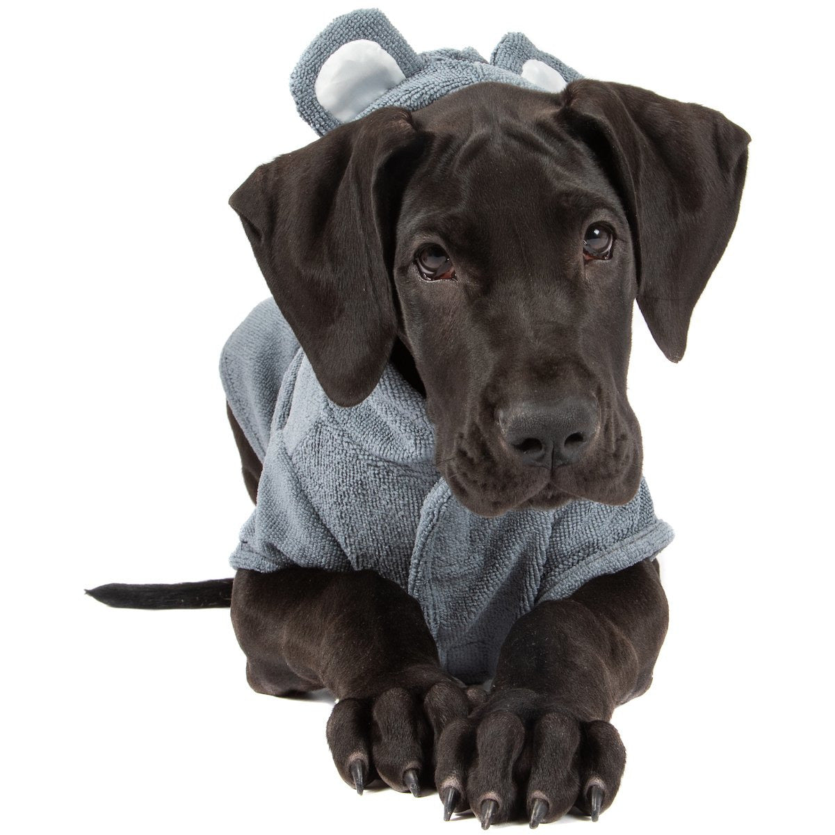 Dog Bath Robe Charcoal