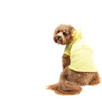 Dog Bath Robe Lemon