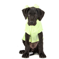 Dog Bath Robe Lime