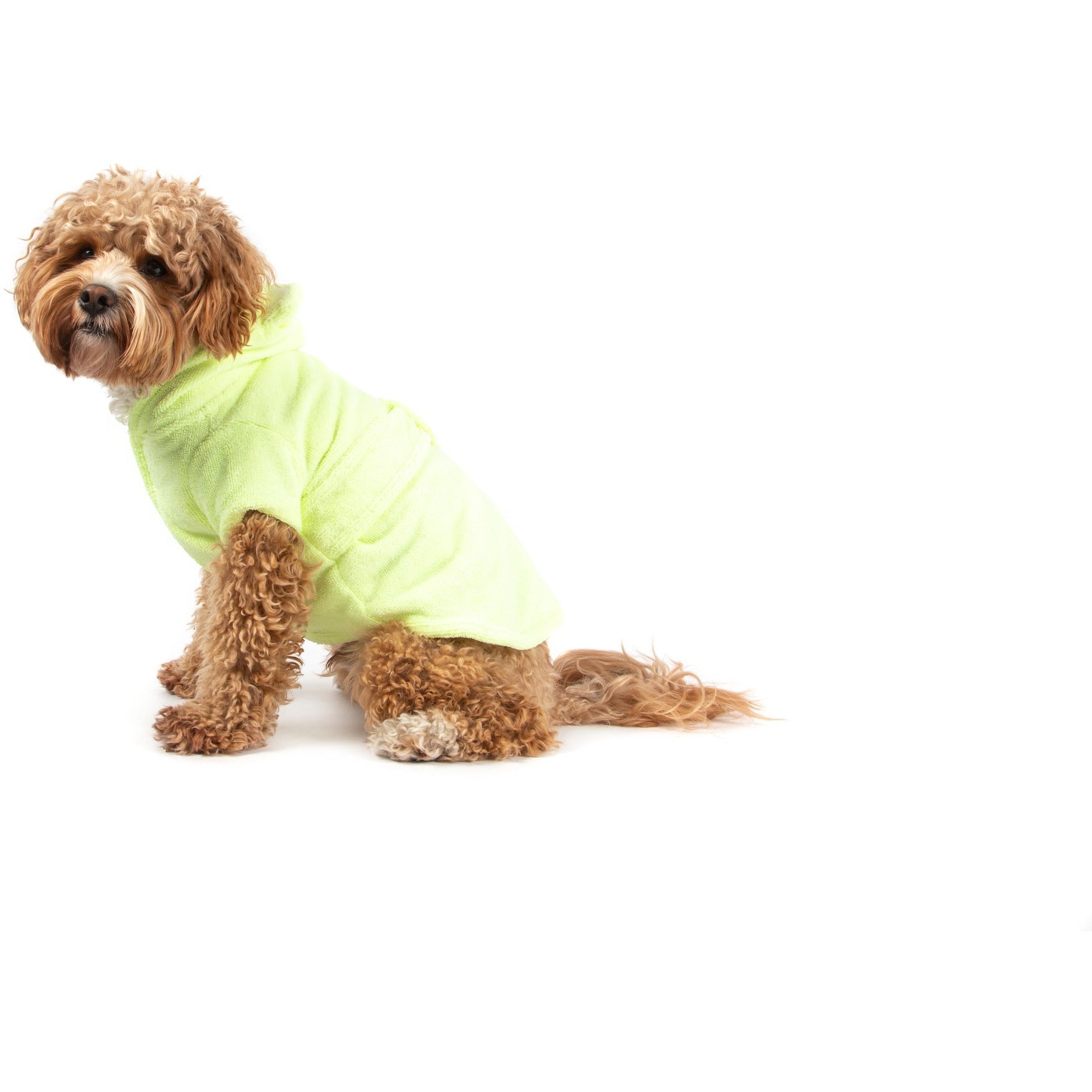 Dog Bath Robe Lime