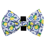 Dog Collar and Bow Tie Amalfi Coast Lemons Italy Yellow Blue Tiles