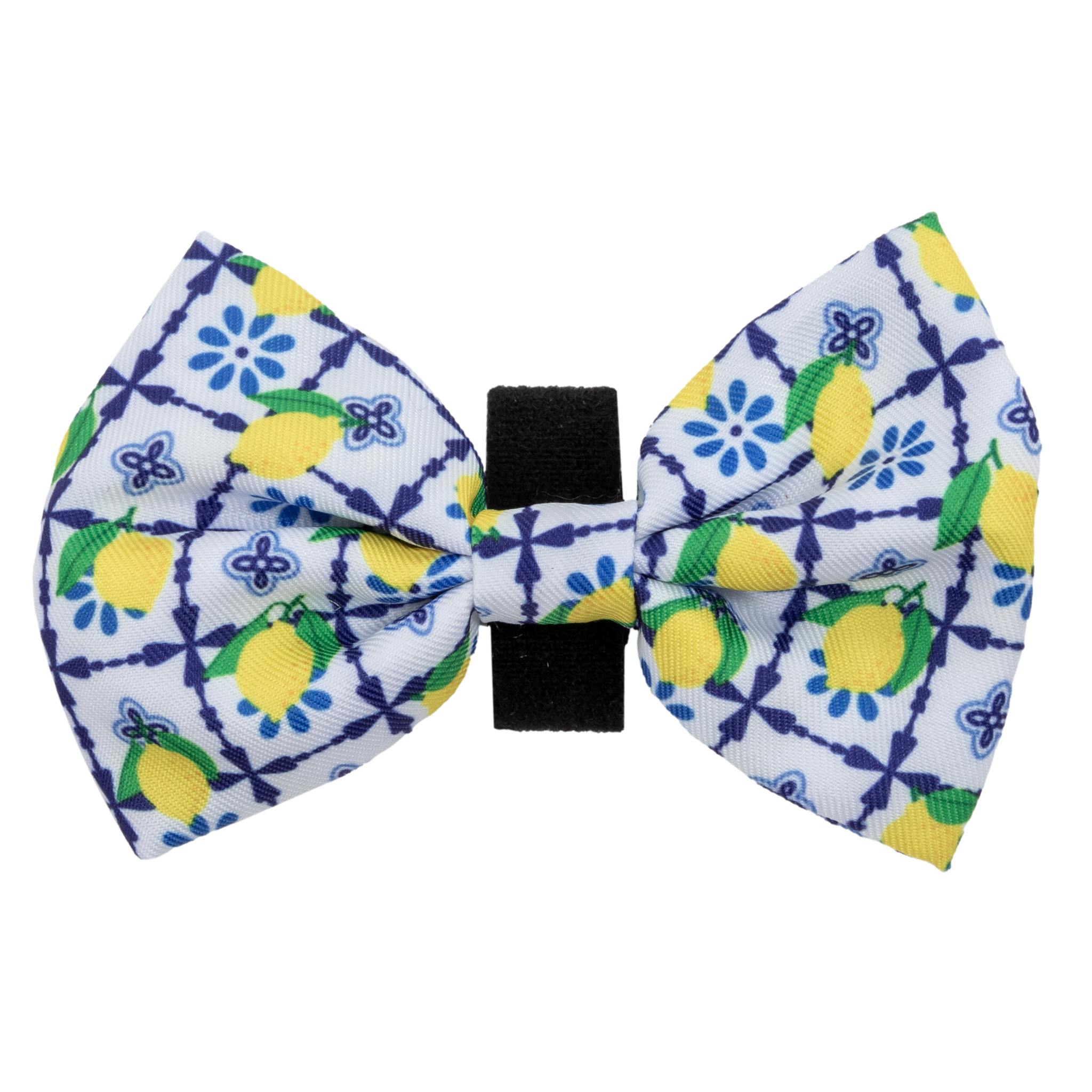 Dog Collar and Bow Tie Amalfi Coast Lemons Italy Yellow Blue Tiles