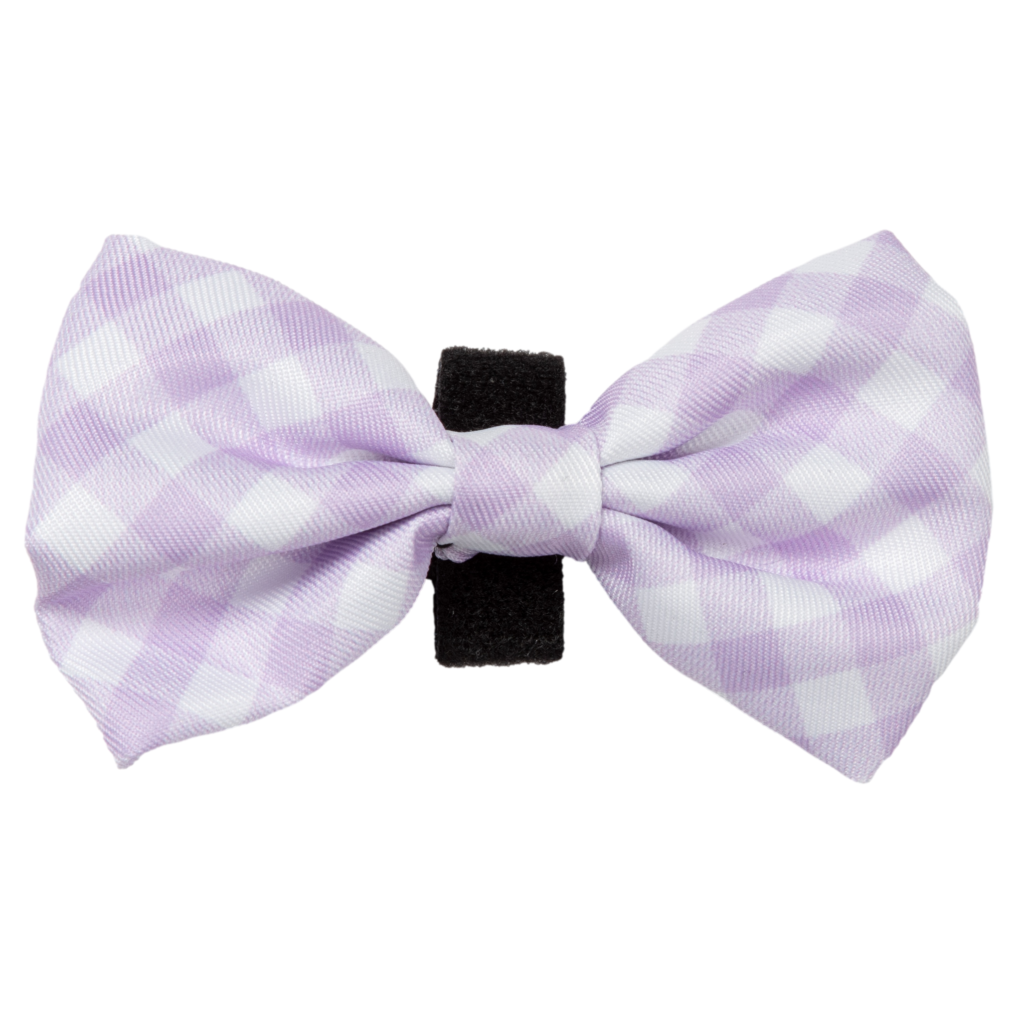 Dog Collar and Bow Time Berry Purple Gingham