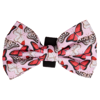 DOG BOW TIE | Pretty Lil' Butterfly {FINAL SALE}