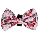 Dog Collar and Bow Tie Pretty Lil Butterfly Wings Pink Red White