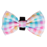 Dog Collar and Bow Tie Rainbow Gingham