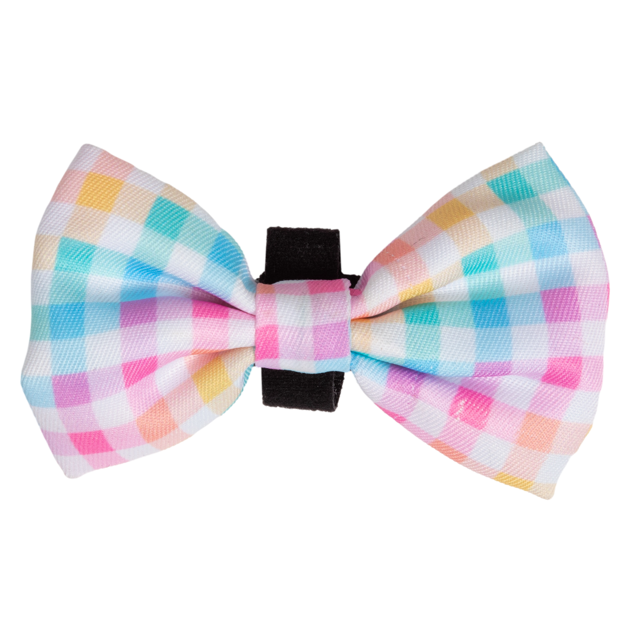 Dog Collar and Bow Tie Rainbow Gingham