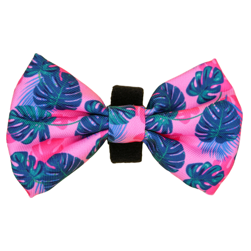 DOG BOW TIE | Summer Lovin&