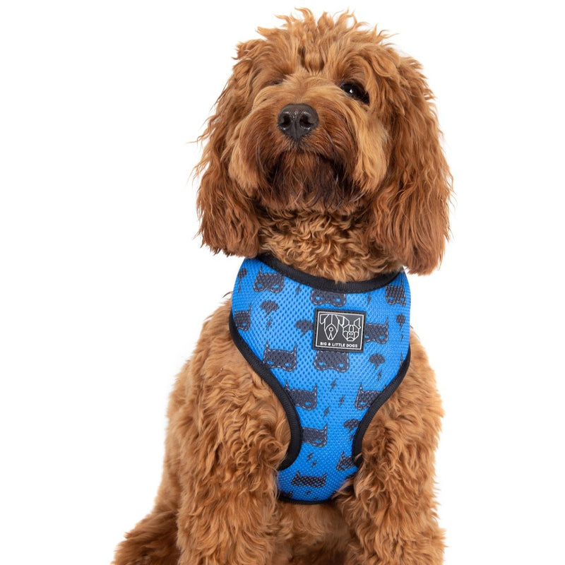 Classic Mesh Dog Harness Bat Dog Batman Mask
