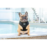 Classic Mesh Harness Black