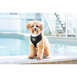 Classic Mesh Harness Black