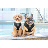 Classic Mesh Harness Black