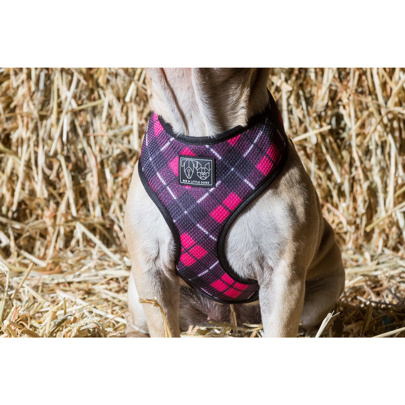 THE CLASSIC PRINT HARNESS: Her Plaid {FINAL SALE}