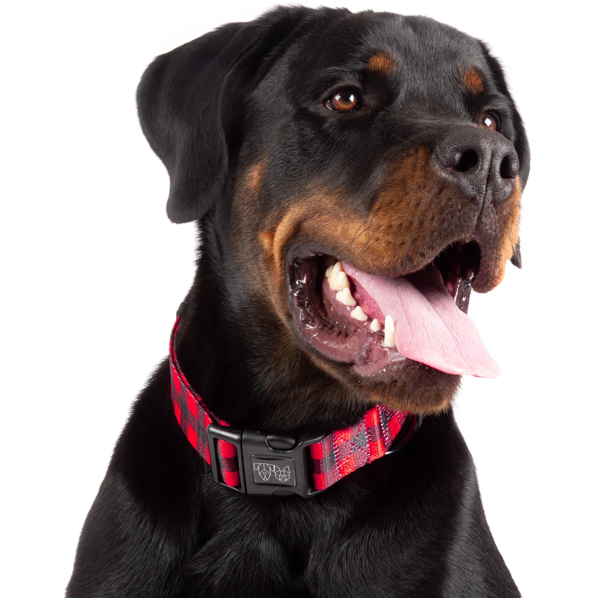 Dog Collar and Bow Tie Plaid to the Bone Red and Black Plaid