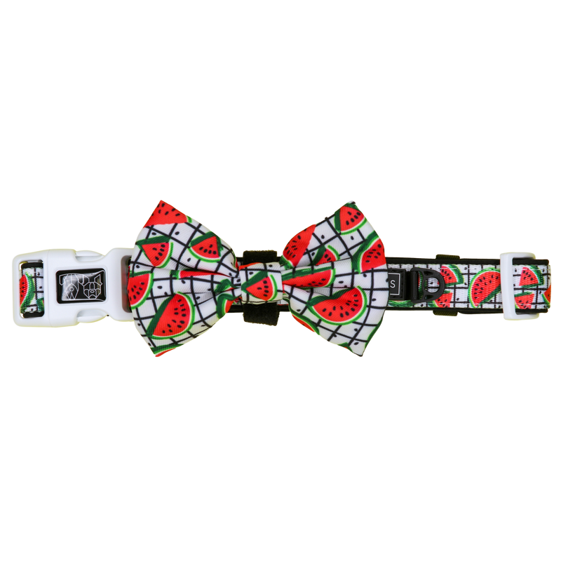 Dog Collar and Bow Tie with Neoprene Lining A Slice of Summer Watermelons