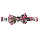 Dog Collar and Bow Tie Abso-Dragon-Fruity Dragonfruit