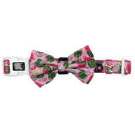 Dog Collar and Bow Tie Abso-Dragon-Fruity Dragonfruit