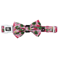 Dog Collar and Bow Tie Abso-Dragon-Fruity Dragonfruit