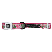 Dog Collar and Bow Tie Abso-Dragon-Fruity Dragonfruit