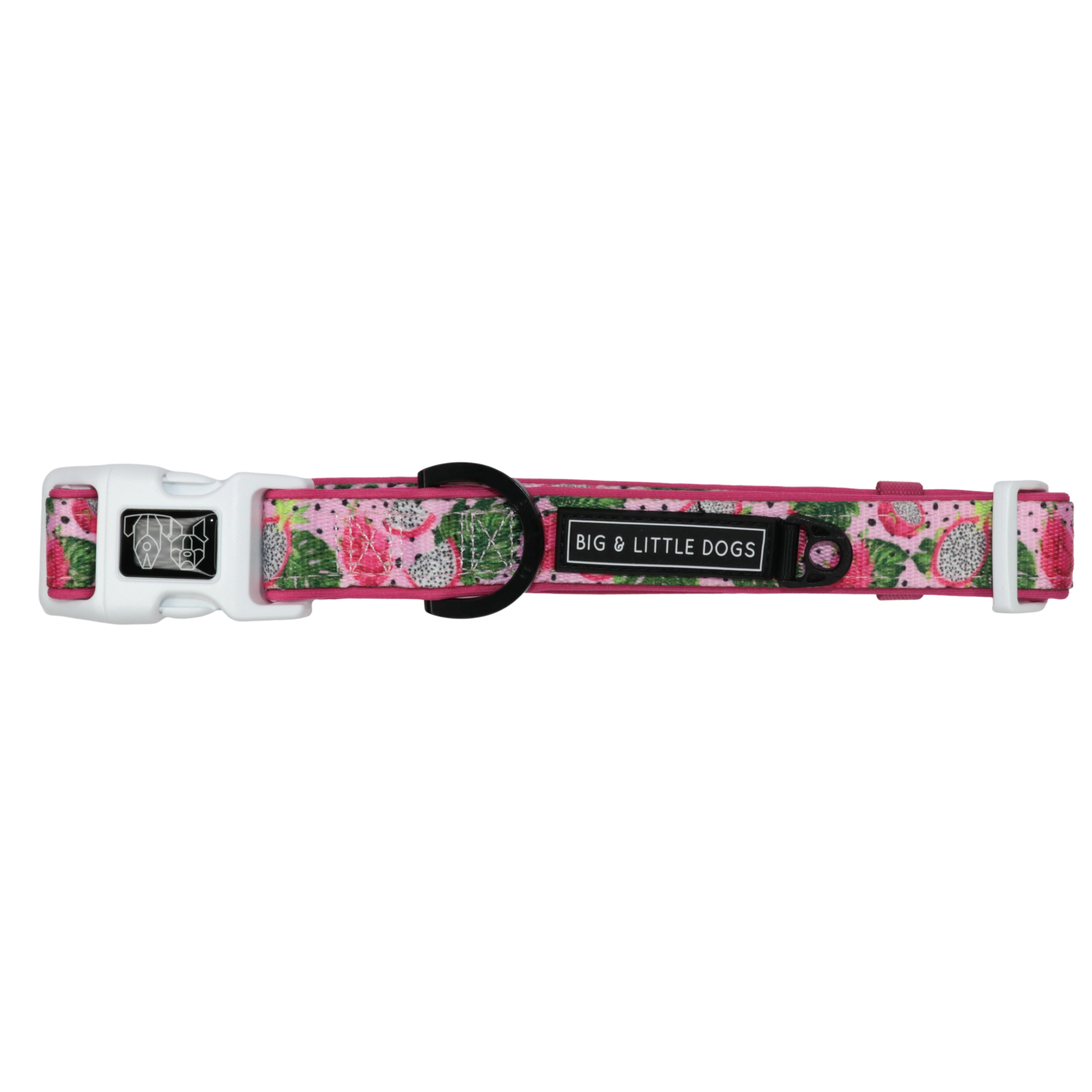 Dog Collar and Bow Tie Abso-Dragon-Fruity Dragonfruit