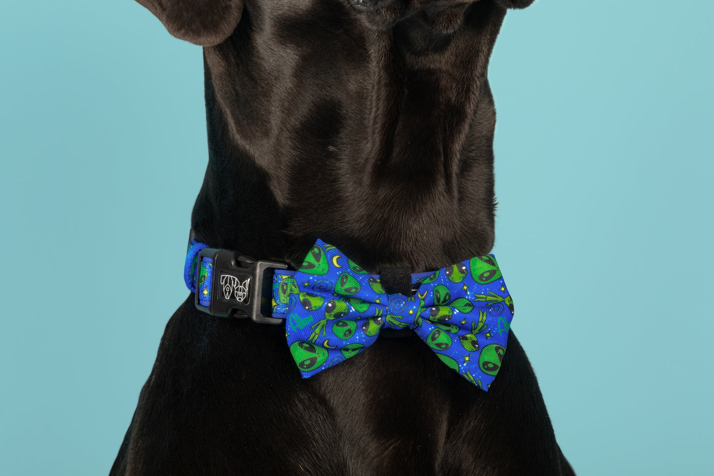 Dog Collar and Bow Tie Alien Invasion