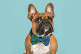 Dog Collar and Bow Tie Alien Invasion